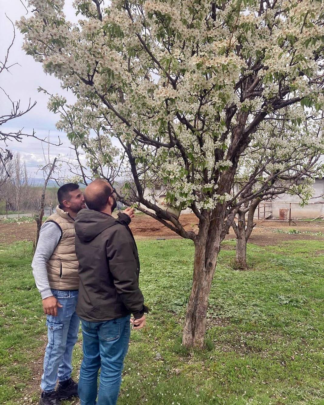 Tarımda tarihin en büyük felaketi yaşanıyor! Meyve, sebze fiyatlarında rekor artış yaşanacak 30